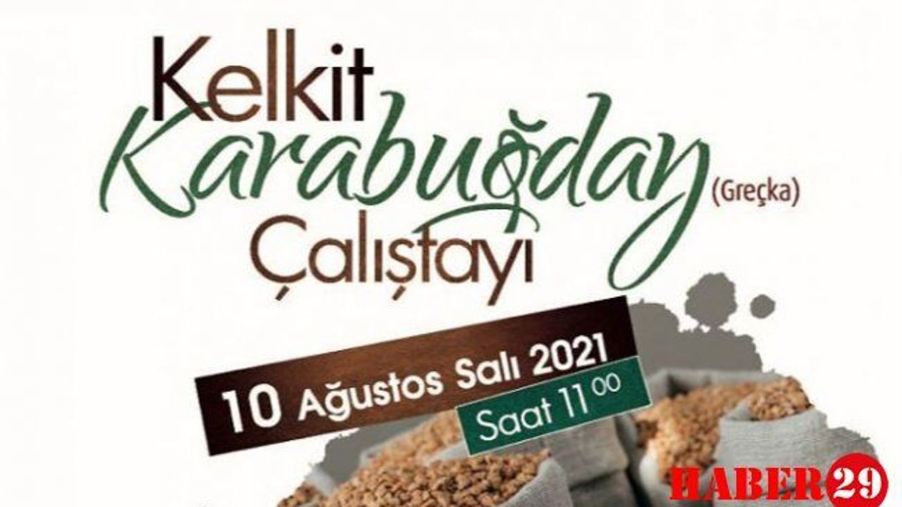 Karabuğday çalıştayı Kelkit'te yapılacak