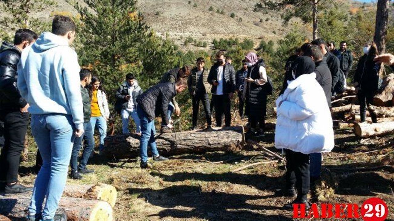 Ormancılık Bölümü Üç Ayrı Teknik Gezi Düzenledi