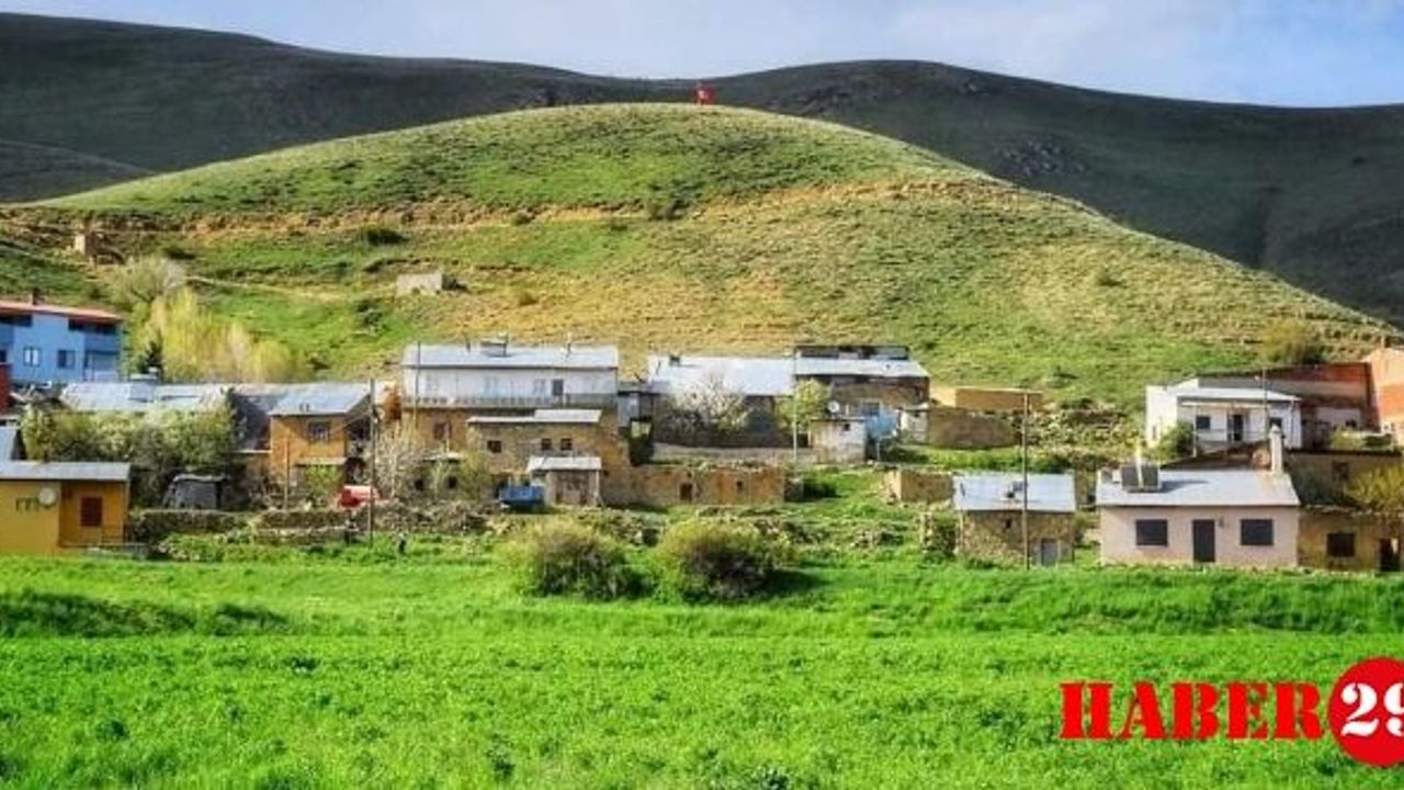 Gümüşhane’nin Altıntaş Köyü Sakinleri Yetkililere Seslendi