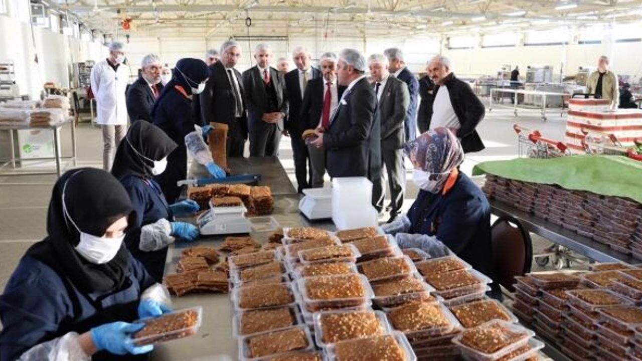 KKYDP Kapsamında Desteklenen Pestil ve Köme Tesisi Ziyaret Edildi