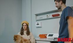 Kadıköy En İyi Veteriner Hangisi? İşte GomVet’i Farklı Kılan Detaylar