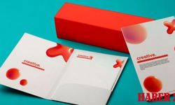 Kurumsal Düzenin Anahtarı: Kapaklı Dosya