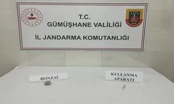 Gümüşhane’de Kaçak Kazı Operasyonu: Define Avcıları Suçüstü Yakalandı