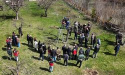 Gümüşhane’de Meyvecilikte Verim Hamlesi: 52 Çiftçiye Profesyonel Budama Sertifikası