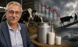 Prof. Dr. Zafer Ulutaş: "Süt Üreticisi Bile Bile İflasa İtiliyor"