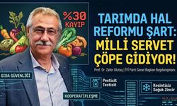 Zafer Ulutaş’tan Tarımda Yapısal Reform Çağrısı: "Hal Sistemi Milli Sorun Haline Geldi"