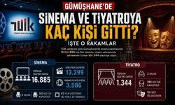 Gümüşhane’nin Kültür Sanat Karnesi Açıklandı: Sinema mı, Tiyatro mu?