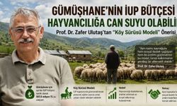 Prof. Dr. Zafer Ulutaş: "507,5 Milyon Lira Temizliğe Değil Üretime Gitmeli"