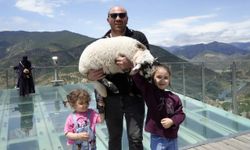 Gümüşhane Torul Cam Seyir Terası'nın Sevimli Misafiri İlgi Odağı Oldu