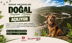 Gümüşhane Belediyesi’nden Can Dostlar İçin Tarihi Yatırım