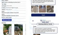 Gümüşhane’de Akıllı Belediyecilik: 4 Bin 444 Başvuru Sonuçlandırıldı
