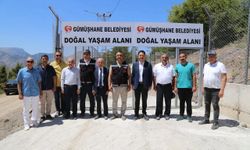 Gümüşhane'de Can Dostlara Dev Kompleks! İşte Yeni Yaşam Alanı