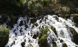 Doğu Karadeniz’in Doğa Harikası Tomara Şelalesi Ziyaretçi Akınına Uğradı