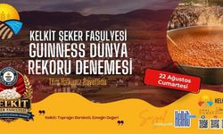 Kelkit Şeker Fasulyesi Guinness Rekorlar Kitabı’na Girmeye Hazırlanıyor