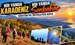 Deniz, Dağ ve Orman Aynı Kadrajda: Kürtün'de 14 Kilometrelik Doğa Masalı