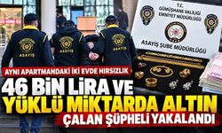 Aynı Apartmanda İki Ev Soyuldu: Gümüşhane Polisi Hırsızı Aracında Yakaladı