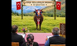 Gümüşhane’nin Ballıca Köyünde Asırlık Yayla Göçü Geleneği Dijitalle Buluştu