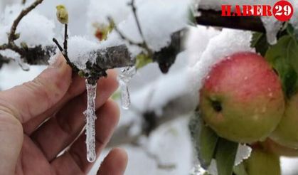 Tarsim Tarafından 2022’de Teminat Altına Alınacak Riskler Belirlendi