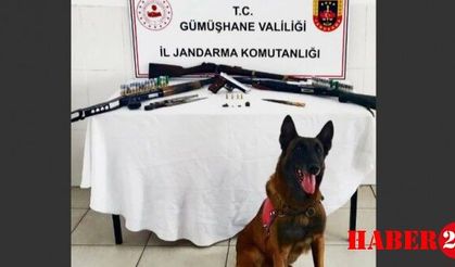 Torul'da El Yapımı Silah Operasyonu