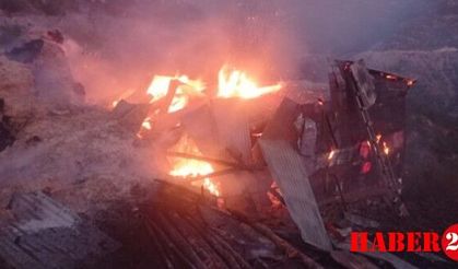 Torul'da ahır yangını: 9 büyükbaş hayvan telef oldu