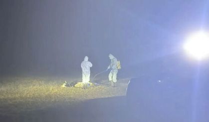 Kürtün'de 5 köy karantinaya alındı