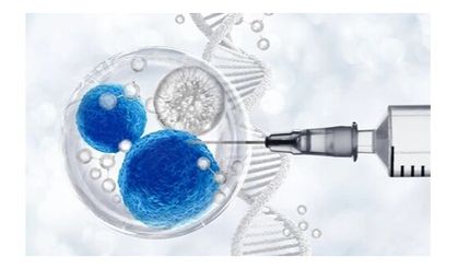 Kök Hücre Tedavisi: Gerçekçi, Anlaşılır ve Günlük Hayata Dokunan Rehber