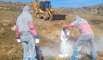 Kürtün’de 6 köye hayvan giriş çıkışı yasaklandı