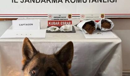 Jandarma affetmedi: Gümüşhane'de zehir tacirlerine suçüstü