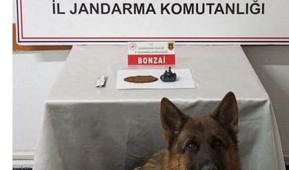 Gümüşhane’de Uyuşturucu Operasyonu: 2 Şüpheli Hakkında Adli Tahkikat Başlatıldı