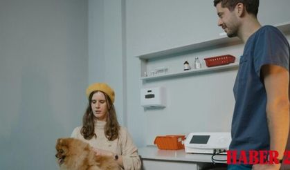 Kadıköy En İyi Veteriner Hangisi? İşte GomVet’i Farklı Kılan Detaylar