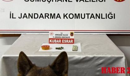 Kocaeli’den Gümüşhane’ye uzanan zehir hattı Jandarma’ya takıldı
