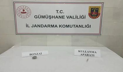 Şiran’da Jandarmadan Kaçamadı: Narkotik Köpeği  Yasaklı Madde Sevkiyatını Durdurdu!