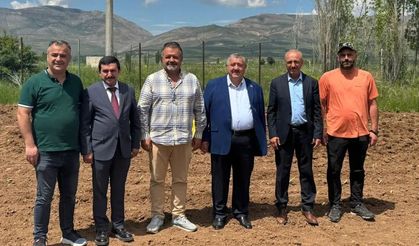Kelkit'te Tarımsal Devrim! Bir Kez Ekiliyor, 20 Yıl Boyunca Mısırın İki Katı Ürün Veriyor