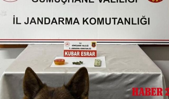 Kocaeli’den Gümüşhane’ye uzanan zehir hattı Jandarma’ya takıldı