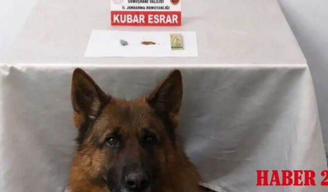 Jandarma ekipleri zehir tacirlerine geçit vermiyor