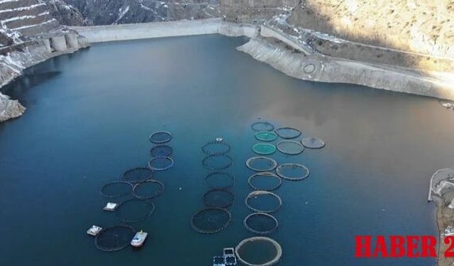 Denizi Yok Ama Dünyayı Besliyor: Gümüşhane’de Alabalık Üretimi 2 Bin Tona Ulaştı