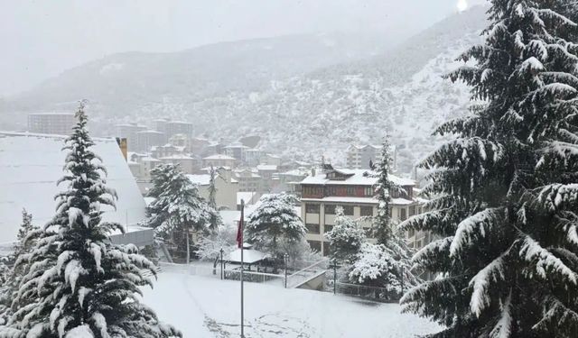 Gümüşhane Beyaza Teslim: 193 Köy Yolu Ulaşıma Kapandı!