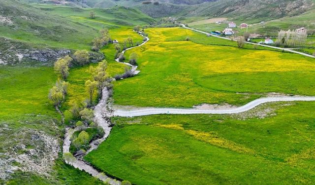 Görenler Hayran Kalıyor! Dağların Arasındaki O Vadi Sarıya Boyandı
