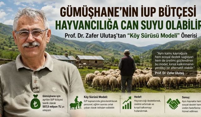 Prof. Dr. Zafer Ulutaş: "507,5 Milyon Lira Temizliğe Değil Üretime Gitmeli"