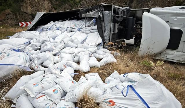 Kürtün-Tirebolu Karayolunda Kaza: Tonlarca Balık Yemi Yola Saçıldı