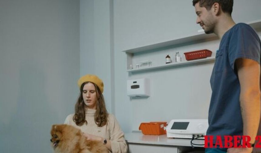 Kadıköy En İyi Veteriner Hangisi? İşte GomVet’i Farklı Kılan Detaylar