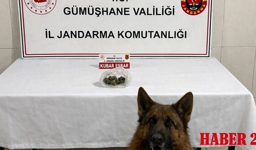 Gümüşhane Jandarmasından Zehir Tacirlerine Geçit Yok: Yol Kontrolünde Yakalandı!