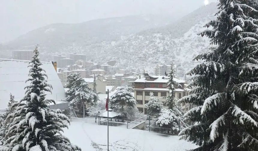 Gümüşhane'de etkisini artıran yoğun kar yağışı hayatı durma noktasına getirdi. İl genelinde 193 köy yolu kapanırken, str
