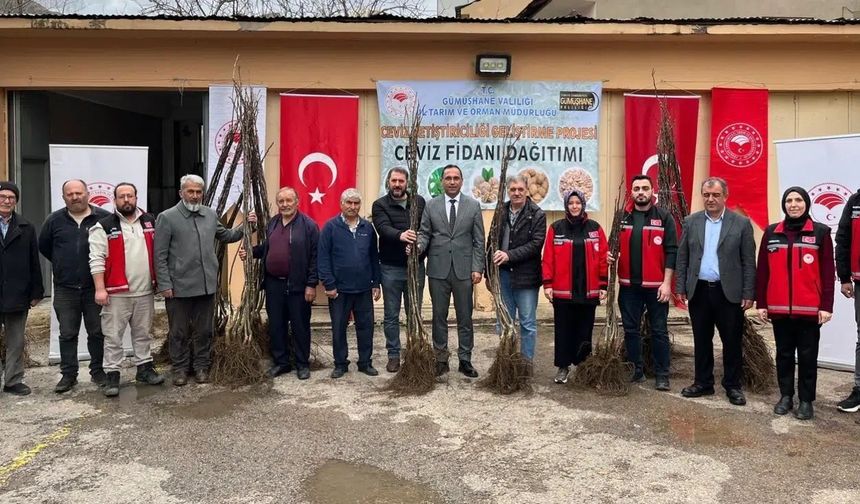 Gümüşhane'de Tarım Atağı: 4 Bin Ceviz Fidanı Toprakla Buluşuyor!
