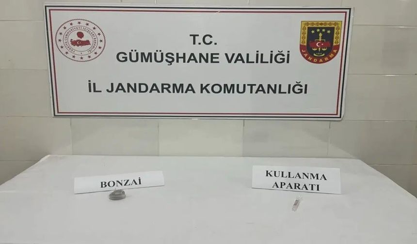 Gümüşhane’de Kaçak Kazı Operasyonu: Define Avcıları Suçüstü Yakalandı