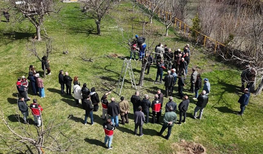 Gümüşhane’de Meyvecilikte Verim Hamlesi: 52 Çiftçiye Profesyonel Budama Sertifikası
