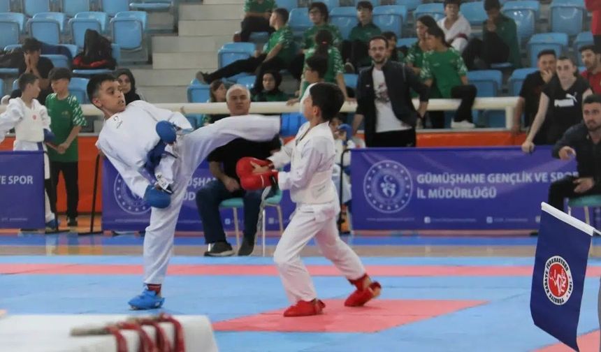 Bölgesel Karate Şöleni Gümüşhane’de Başlıyor: 247 Genç Yetenek Tatamiye Çıkıyor
