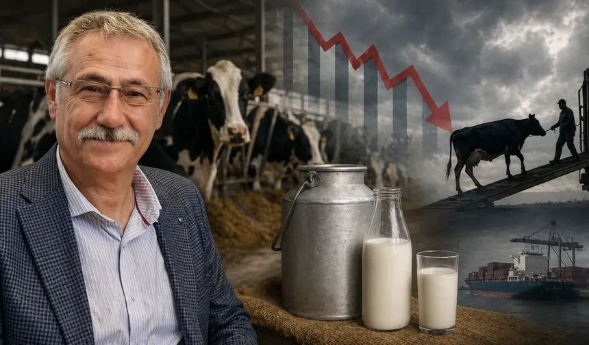Prof. Dr. Zafer Ulutaş: "Süt Üreticisi Bile Bile İflasa İtiliyor"
