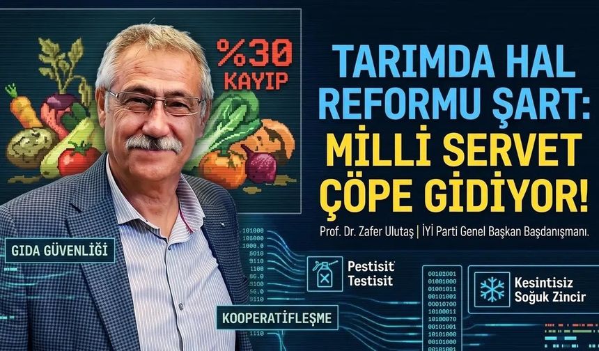 Zafer Ulutaş’tan Tarımda Yapısal Reform Çağrısı: "Hal Sistemi Milli Sorun Haline Geldi"