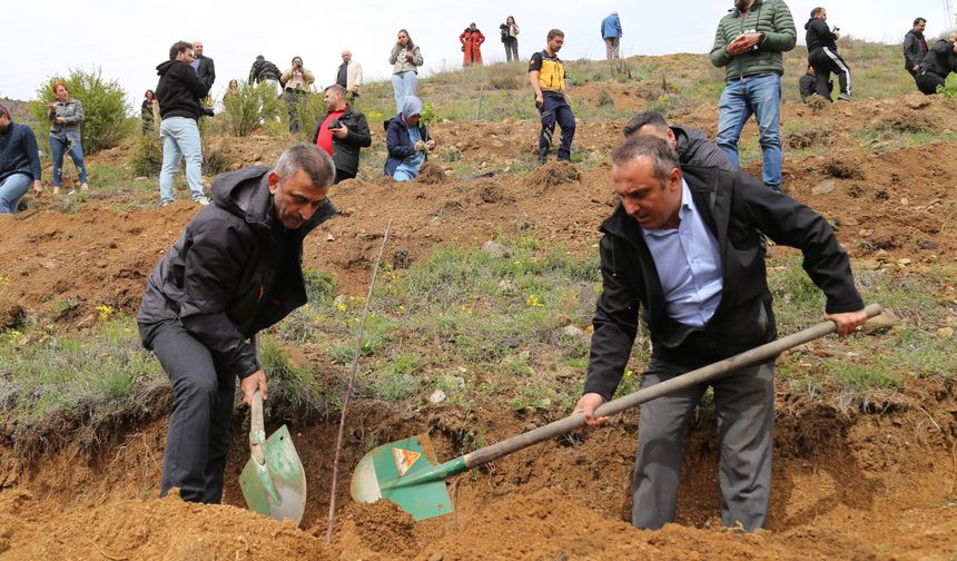 Gümüşhane’de Geleceğe Miras: 11 Farklı Yerel Tür Toprakla Buluştu